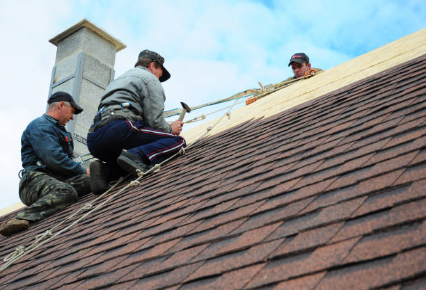 Quick and Trustworthy Emergency Roof Repair Services in Lake Kerr, FL
